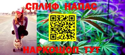 СК Можга
