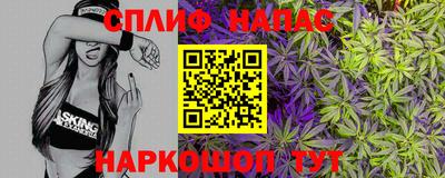 сатива Моздок