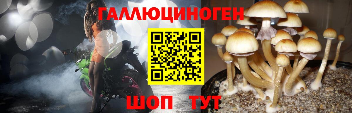 наркошоп  Вход с VPN  Феодосия  Псилоцибиновые грибы прущие грибы 